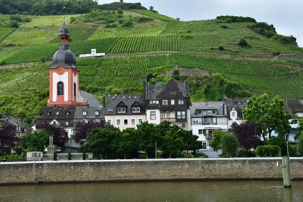 Moselle Vadisi Zell Almanya Ağustos 2021 Üzüm Bağı Vadisi — Stok fotoğraf