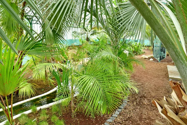 Paris Frankreich Juli 2021 Der Garten Der Greehouses Auteuil Der — Stockfoto