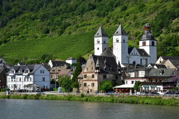 Vallée Moselle Allemagne Août 2021 Vallée Vignoble — Photo