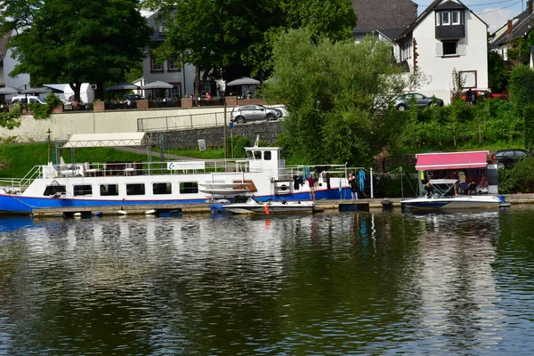 Moselle Lembah Issel Germany Agustus 2021 Lembah Kebun Anggur — Stok Foto