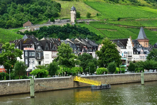 Moselle Valley Zell Alemanha Agosto 2021 Vale Vinha — Fotografia de Stock