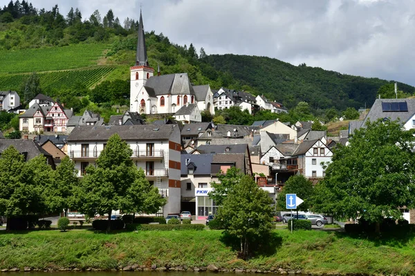 Moezelvallei Klotten Duitsland Augustus 2021 Het Dal Van Wijngaard — Stockfoto