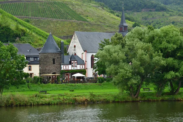 Долина Мозель Мерл Німеччина 2021 Долина Виноградника — стокове фото