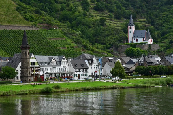 Vallée Moselle Allemagne Août 2021 Vallée Vignoble — Photo