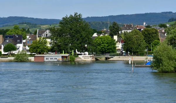 Рейнская Долина Германия Августа 2021 Года Рейнская Долина Близ Висбадена — стоковое фото