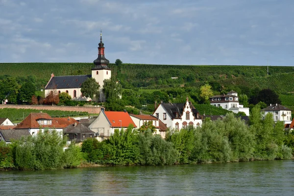 Rijndal Duitsland Augustus 2021 Een Cruise Tussen Straatsburg Mainz — Stockfoto