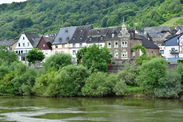 Moezelvallei Bremm Duitsland Augustus 2021 Het Dal Van Wijngaard — Stockfoto