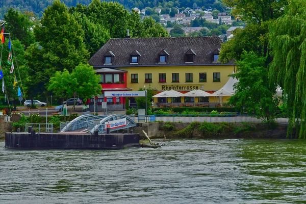 Vallée Rhin Allemagne Août 2021 Vallée Des Châteaux Médiévaux — Photo