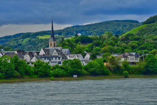 Rhendalen Tyskland Augusti 2021 Dalen Medeltida Slott — Stockfoto