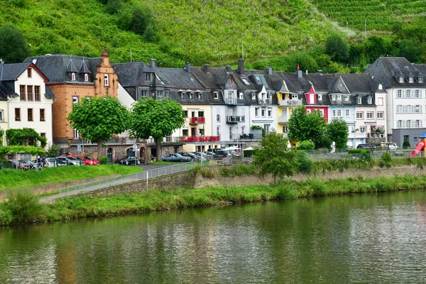 Dolina Moselle Zell Niemcy Sierpnia 2021 Dolina Winnicy — Zdjęcie stockowe