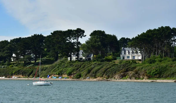 Francie Červen 2021 Ile Aux Moines Morbihan Gulf — Stock fotografie