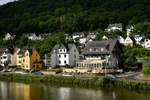 Moselle Valley Germany August 2021 Valley Vineyard — Stock Photo, Image