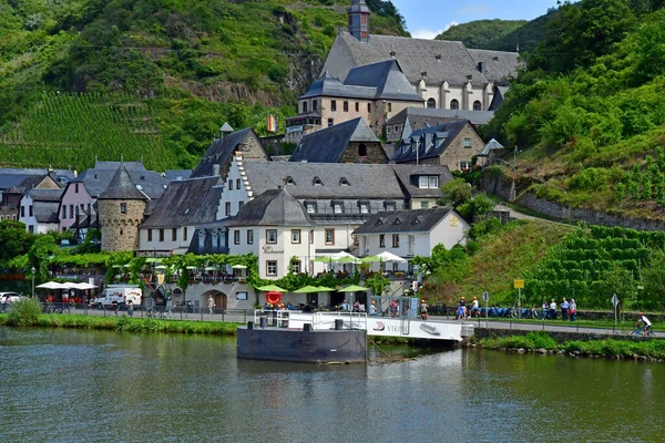 Moselle Valley Beilstein Germany August 2021 Valley Vineyard — Stock Photo, Image