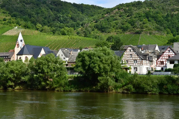 Moselle Vadisi Almanya Ağustos 2021 Treis Karden Bölgesi — Stok fotoğraf