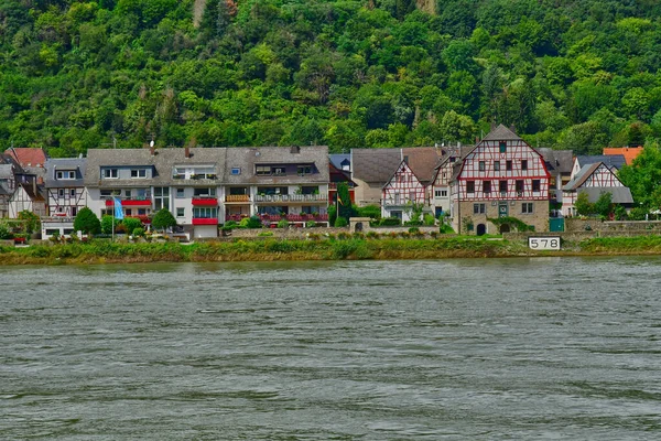 Rhendalen Tyskland Augusti 2021 Dalen Medeltida Slott — Stockfoto