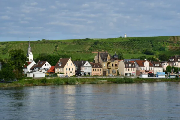 Lembah Rhine Germany Agustus 2021 Pelayaran Antara Strasbourg Dan Mainz — Stok Foto