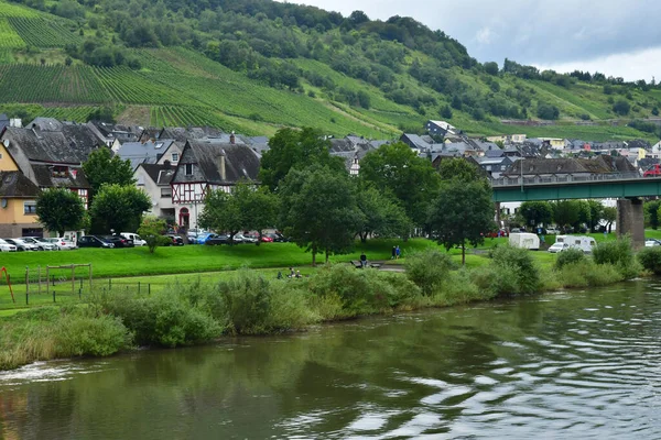Vallée Moselle Reil Allemagne Août 2021 Vallée Vignoble — Photo