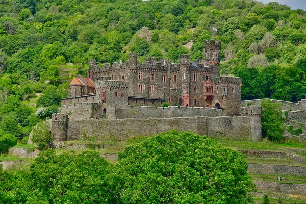 Rhine Valley Germany August 2021 Reichenstein Castle Valley Medieval Castles — Stock Photo, Image