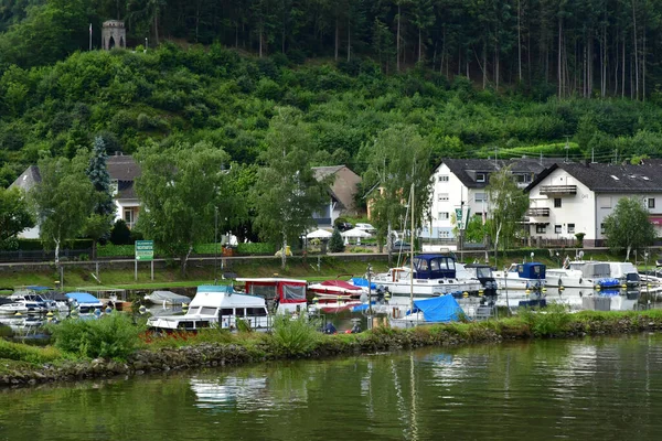 Moselle Vadisi Almanya Ağustos 2021 Üzüm Bağı Vadisi — Stok fotoğraf