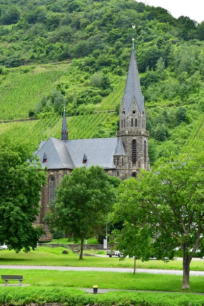 Vallée Moselle Saint Aldegund Allemagne Août 2021 Vallée Vignoble — Photo