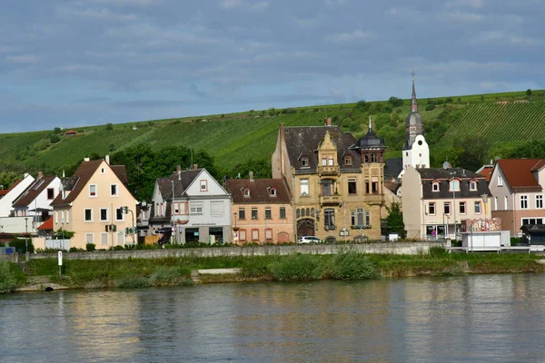 Valle Del Rin Alemania Agosto 2021 Crucero Entre Estrasburgo Maguncia —  Fotos de Stock