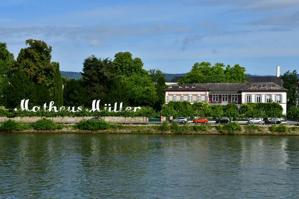 Rhine Valley Eltville Germany August 2021 Rhine Valley Wiesbaden — Stock Photo, Image