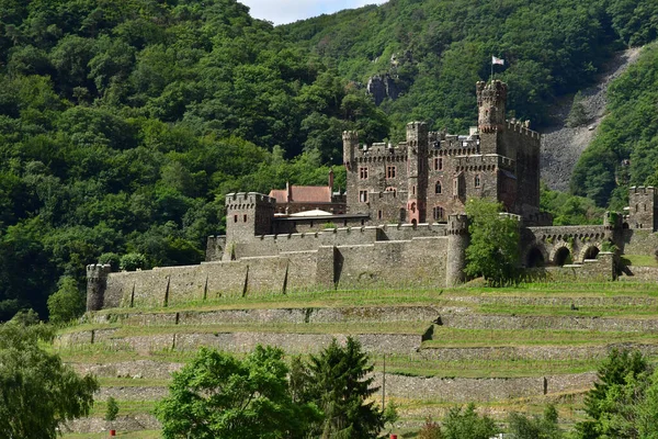 Rhine Valley Germany August 2021 Reichenstein Castle Valley Medieval Castles — Stock Photo, Image