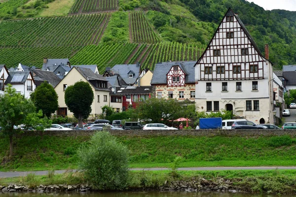 Moselle Valley Ediger Alemanha Agosto 2021 Vale Vinha — Fotografia de Stock