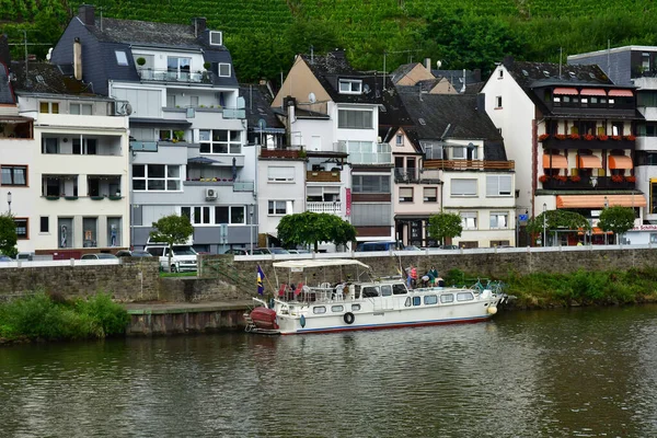 Vallée Moselle Zell Allemagne Août 2021 Vallée Vignoble — Photo