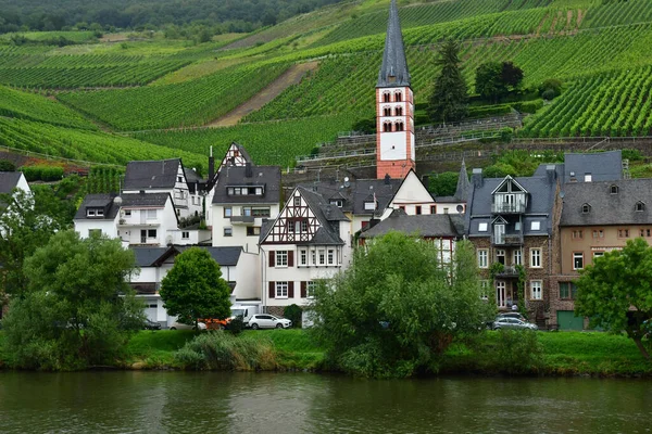 Moselle山谷 2021年8月11日 德国Merl 葡萄园谷 — 图库照片