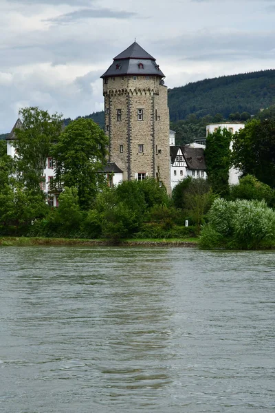 Vallée Rhin Allemagne Août 2021 Vallée Des Châteaux Médiévaux — Photo