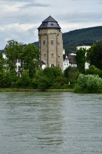 Rhine Valley Germany August 2021 Valley Medieval Castles — Stock Photo, Image