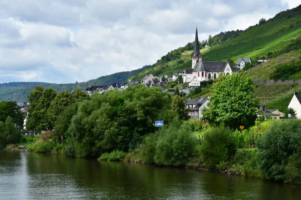 Moseldalen Klotten Tyskland Augusti 2021 Vingårdens Dal — Stockfoto