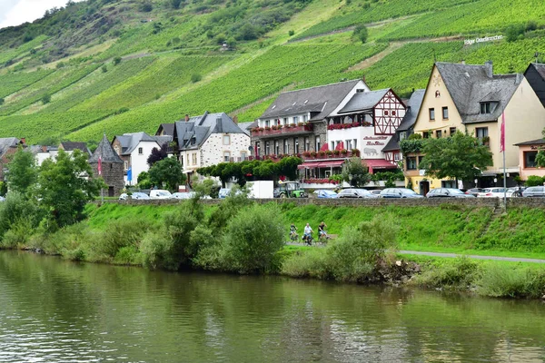 Moselle山谷 2021年8月11日生于德国Ediger 葡萄园谷 — 图库照片