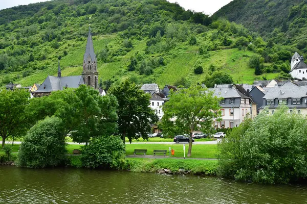 Vallée Moselle Saint Aldegund Allemagne Août 2021 Vallée Vignoble — Photo
