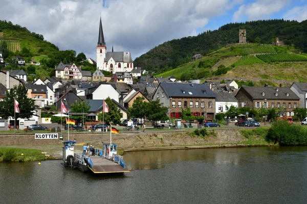 Moselle Vadisi Klotten Almanya Ağustos 2021 Üzüm Bağı Vadisi — Stok fotoğraf