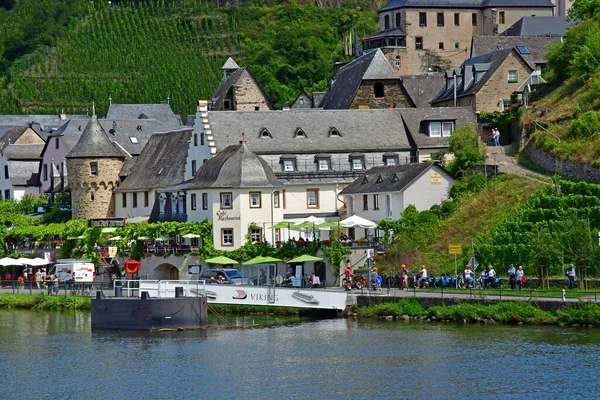 Moselle Vadisi Beilstein Almanya Ağustos 2021 Üzüm Bağı Vadisi — Stok fotoğraf