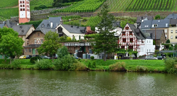 Moselle Vadisi Merl Almanya Ağustos 2021 Üzüm Bağı Vadisi — Stok fotoğraf