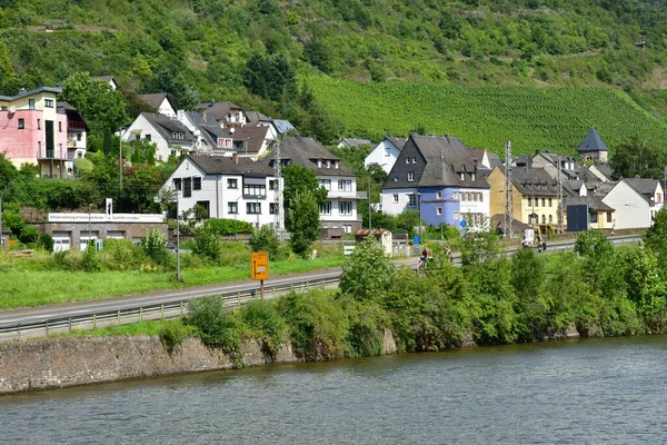 Vallée Moselle Allemagne Août 2021 Vallée Vignoble — Photo