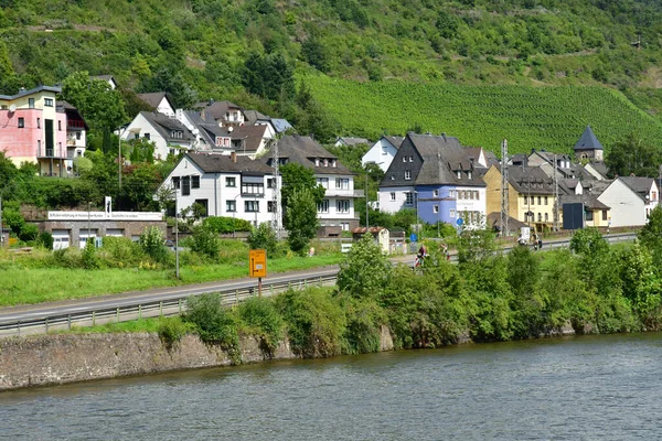 Moseldalen Tyskland Augusti 2021 Vingårdens Dal — Stockfoto