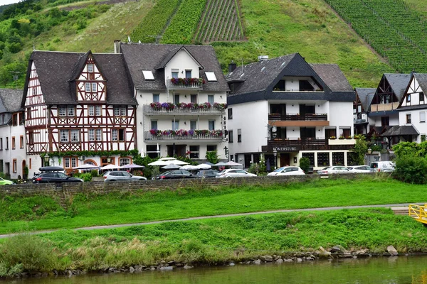 Moselle山谷 2021年8月11日生于德国Ediger 葡萄园谷 — 图库照片