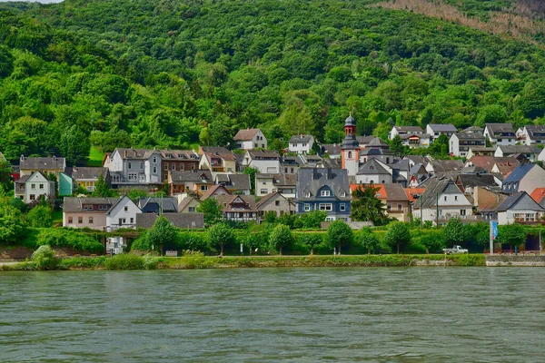 Рейнская Долина Германия Августа 2021 Года Долина Средневековых Замков — стоковое фото