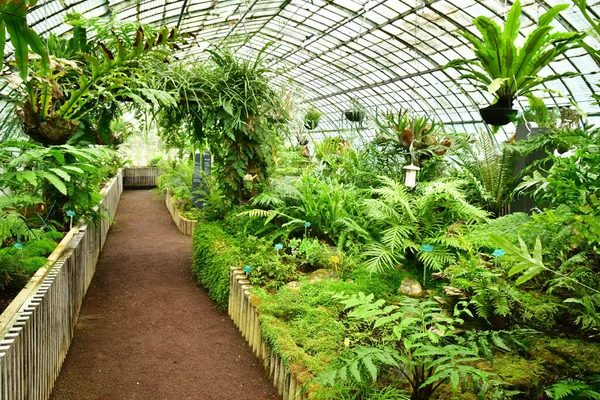 Paris Frankrike Juli 2021 Auteuil Greehouses Trädgård Skapades 1898 — Stockfoto