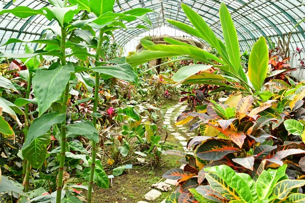 Paris France July 2021 Auteuil Greehouses Garden Created 1898 — Stock Photo, Image