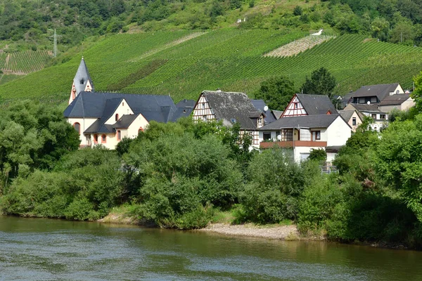 Moselle Vadisi Almanya Ağustos 2021 Treis Karden Bölgesi — Stok fotoğraf