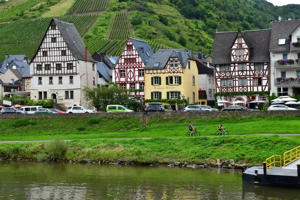 Moselle Vadisi Editör Alman Ağustos 2021 Üzüm Bağı Vadisi — Stok fotoğraf