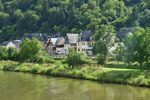 Moselle山谷 2021年8月11日 德国Briedel 葡萄园谷 — 图库照片