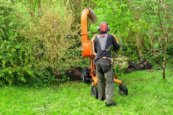 Verneuil Sur Seine France April 2022 Gardener Crushing Branch — Stock fotografie