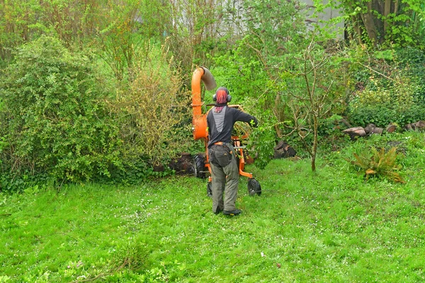 Verneuil Sur Seine France April 2022 Gardener Crushing Branch — Stock Photo, Image