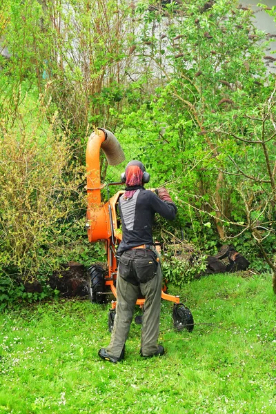 Verneuil Sur Seine France April 2022 Gardener Crushing Branch — Stock Photo, Image